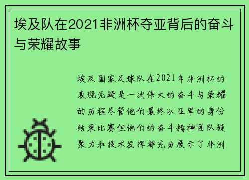 埃及队在2021非洲杯夺亚背后的奋斗与荣耀故事